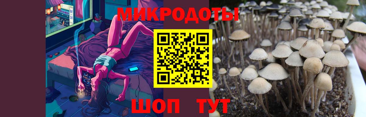 Псилоцибиновые грибы прущие грибы  Галлюциногенные грибы Magic Shrooms  Елабуга  Вход с VPN 